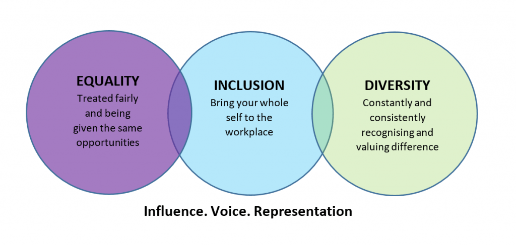 understand the importance of diversity equality and inclusion