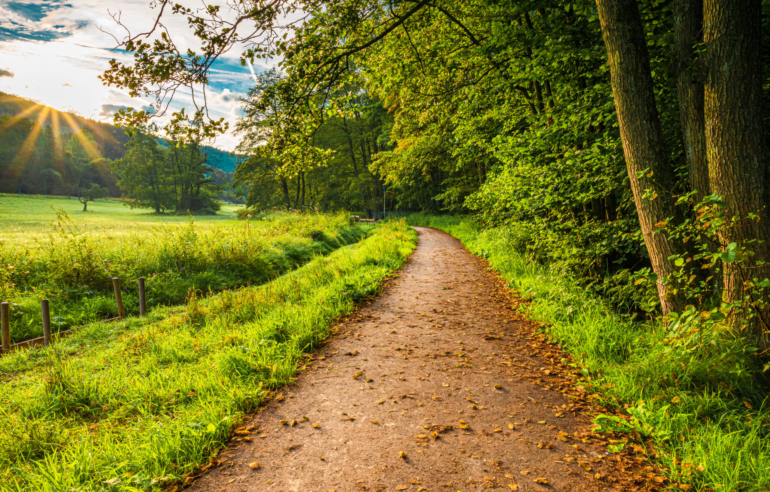 MHAW2025 Together CEO Linda Bryant on Physical Wellbeing and Mental Health